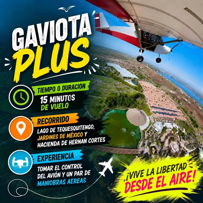 Promocional Gaviota Plus